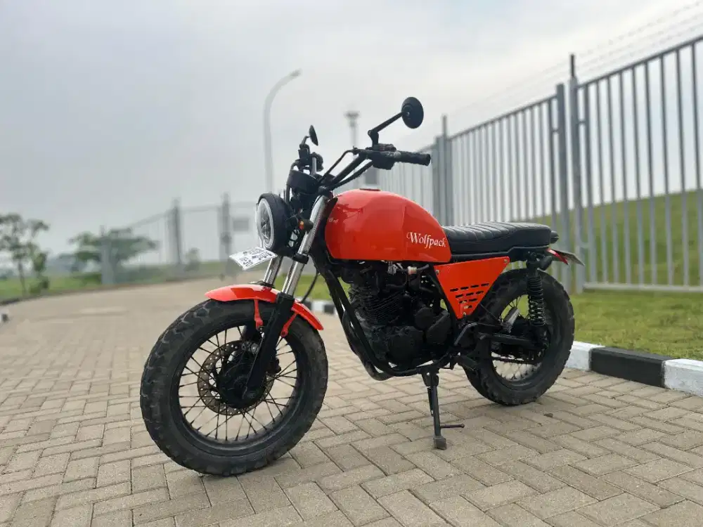 Custom Japstyle basic Scorpio 225