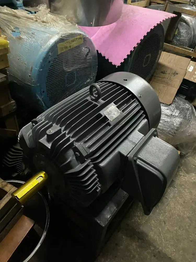TECO 60hp 4p 45kw Dinamo Elektro Motor 4 pole RPM 1500