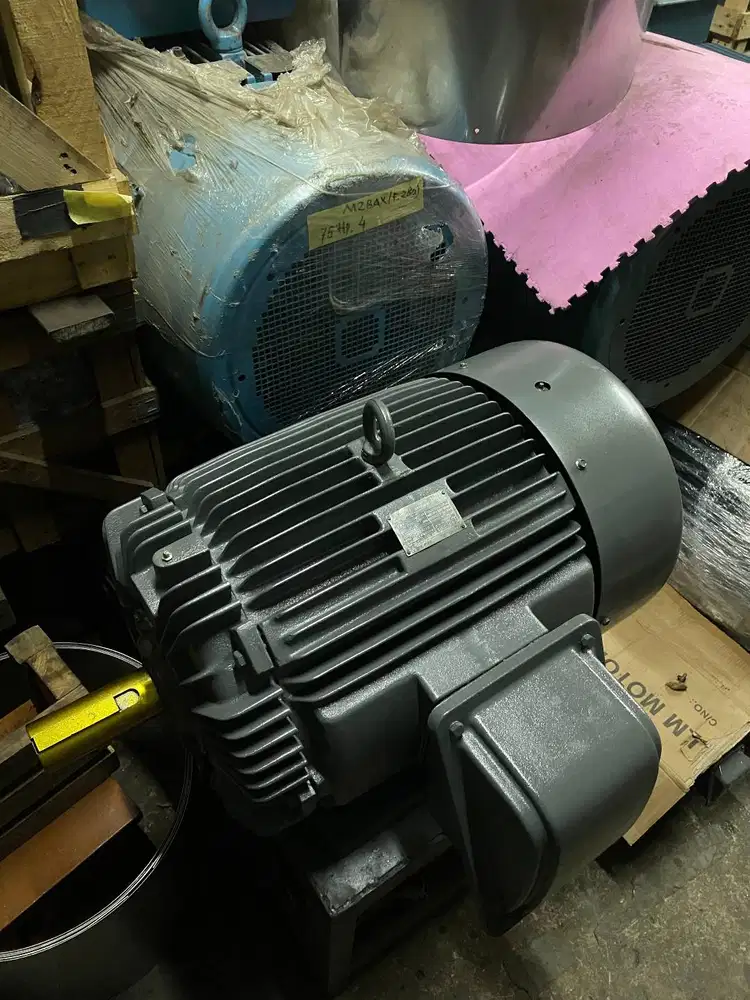 TECO 60HP 4POLE 45KW - DINAMO ELEKTRO MOTOR TECO