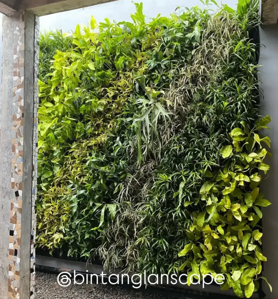 Tukang taman serang banten - jasa taman