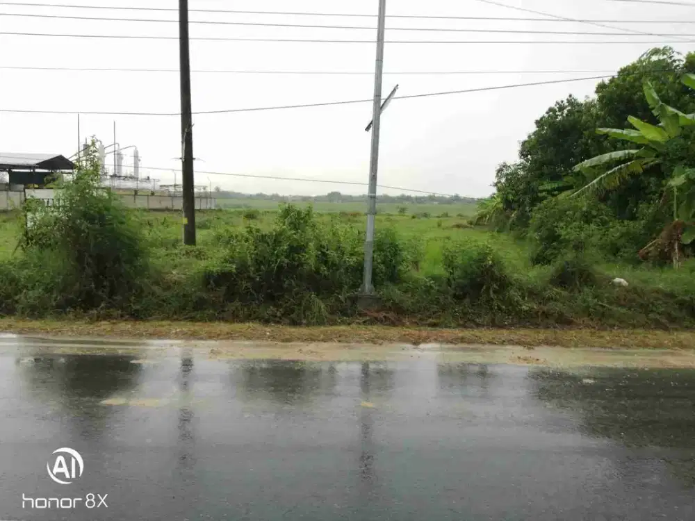 TERMURAH! BU Tanah Dijual di Blora Cocok untuk Usaha