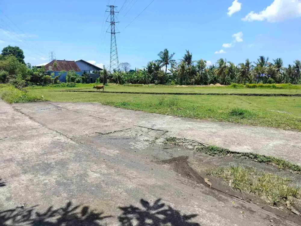 jual tanah 16 are hrg 200jt/ are lok di buwit kediri