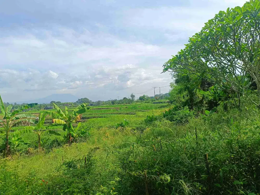 tanah di pantai kelating