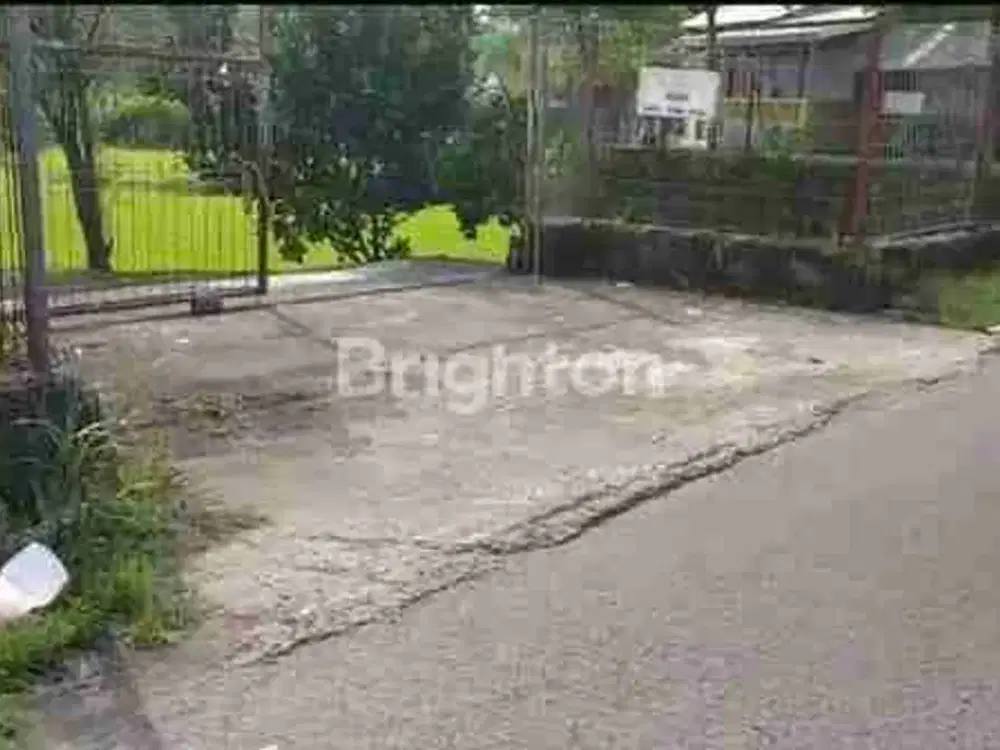 KEBUN JAMBU MADU DELI LOKASI KABUPATEN BOGOR