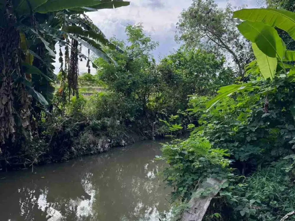 Dijual tanah dekat Kedungu & Tanah Lot