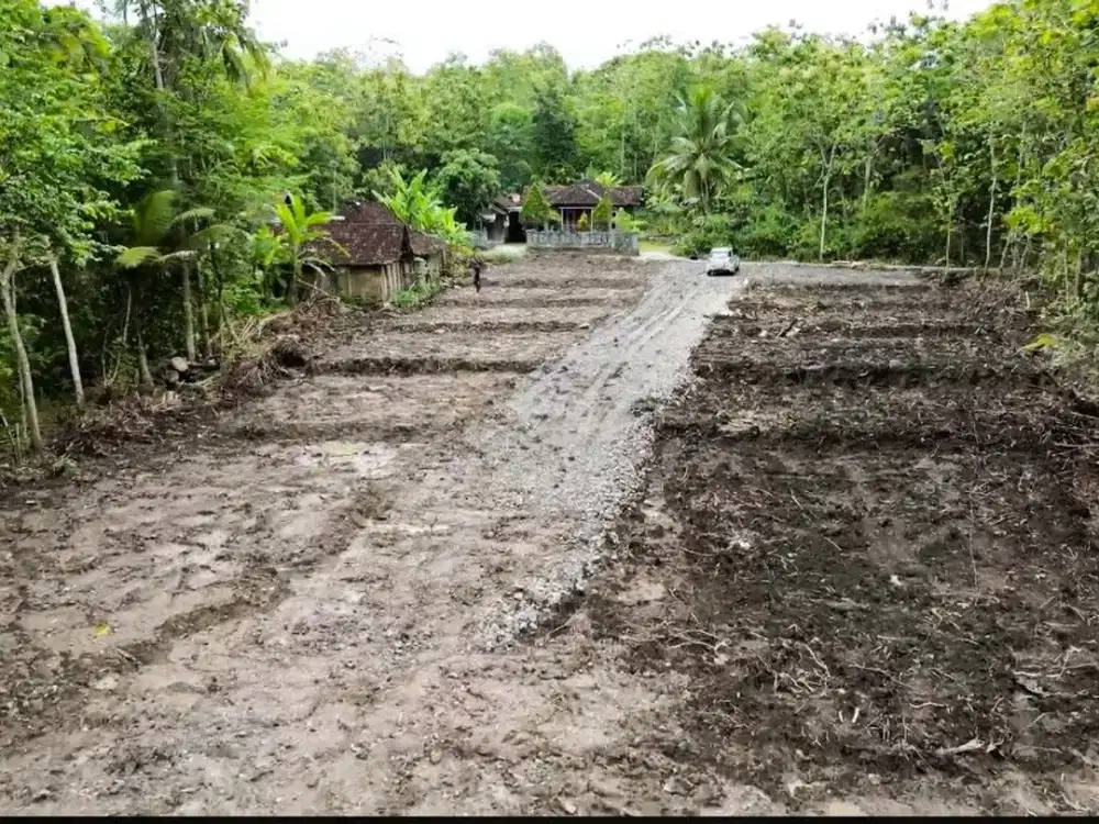TANAH MURAH! Dekat Pasar Sentolo, Cocok Hunian Nyaman