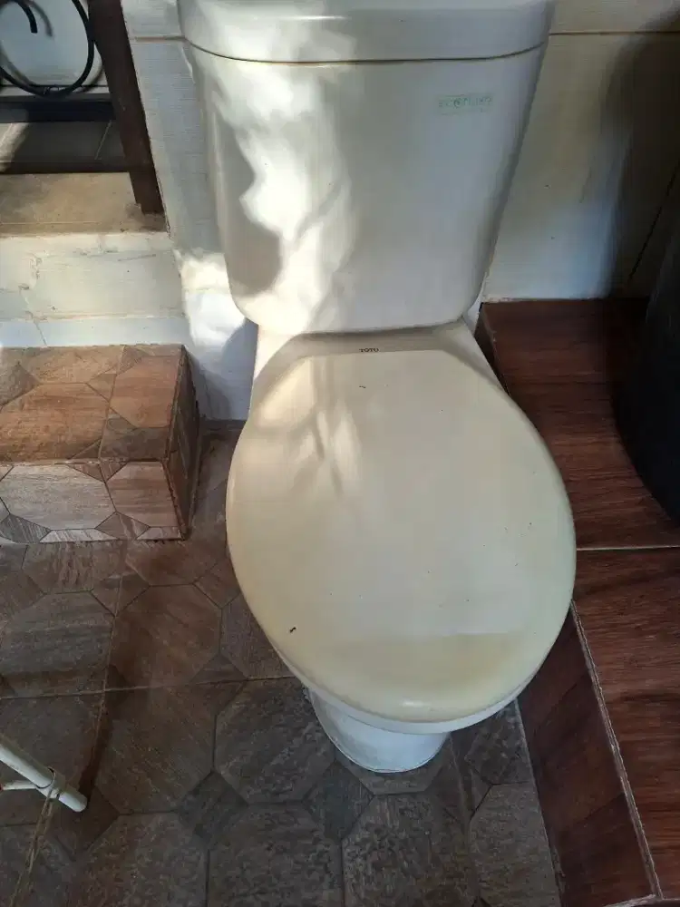 Closet WC TOTO ecoflash