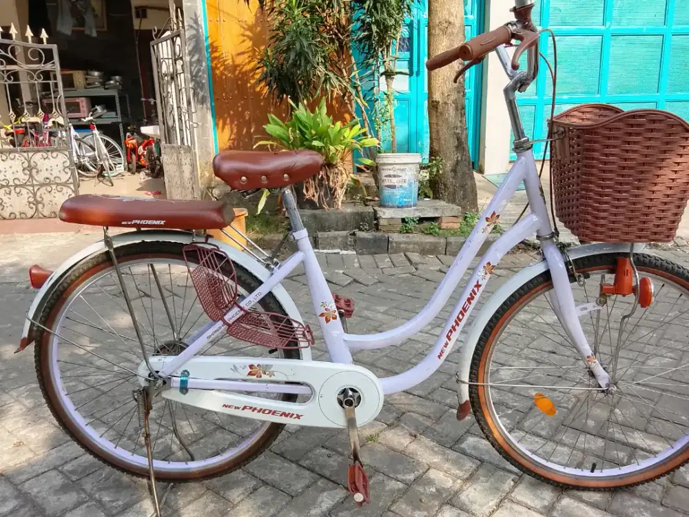 Sepeda mini keranjang dewasa