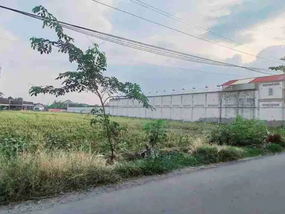 Tanah Sawah Luas 2.574m² Depan Perumahan di Sukoharjo