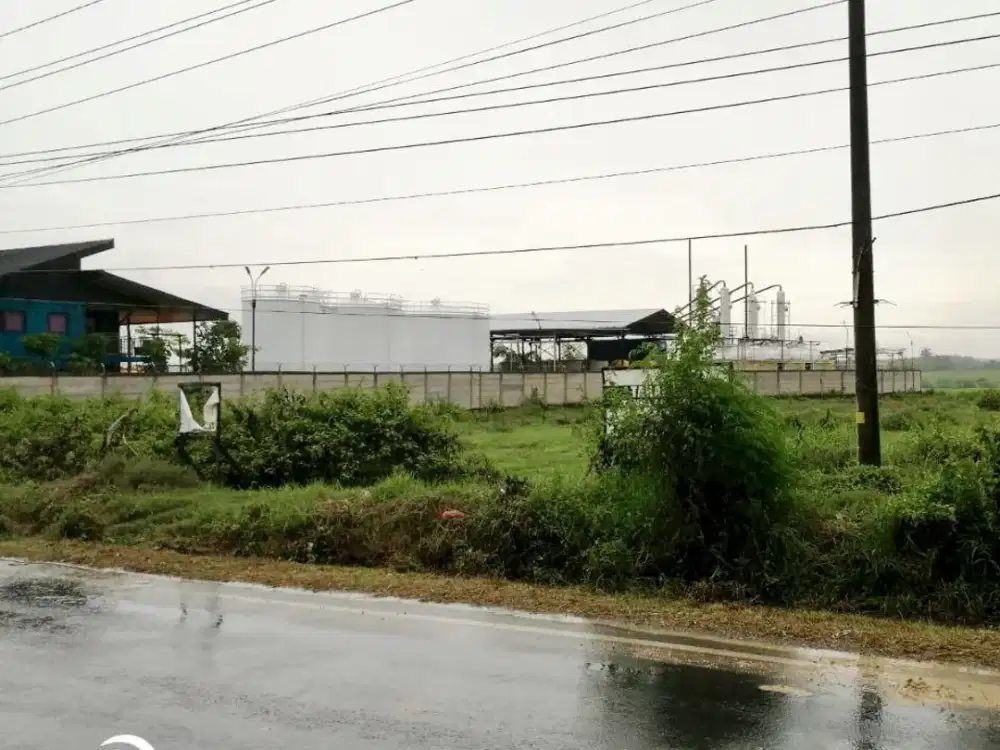 Tanah SHM luas di zona industri jalan provinsi Blora