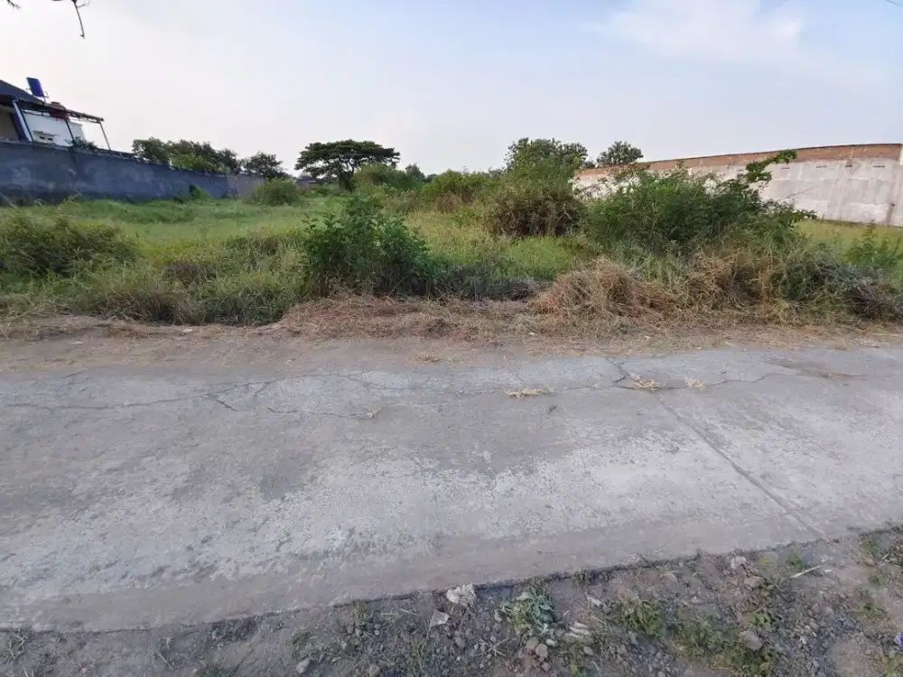 Tanah Zona Kuning 8.000m² Klaten