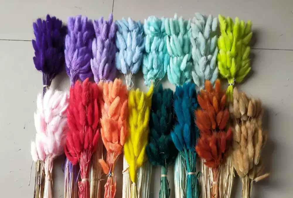 Admin olshop khusus wanita