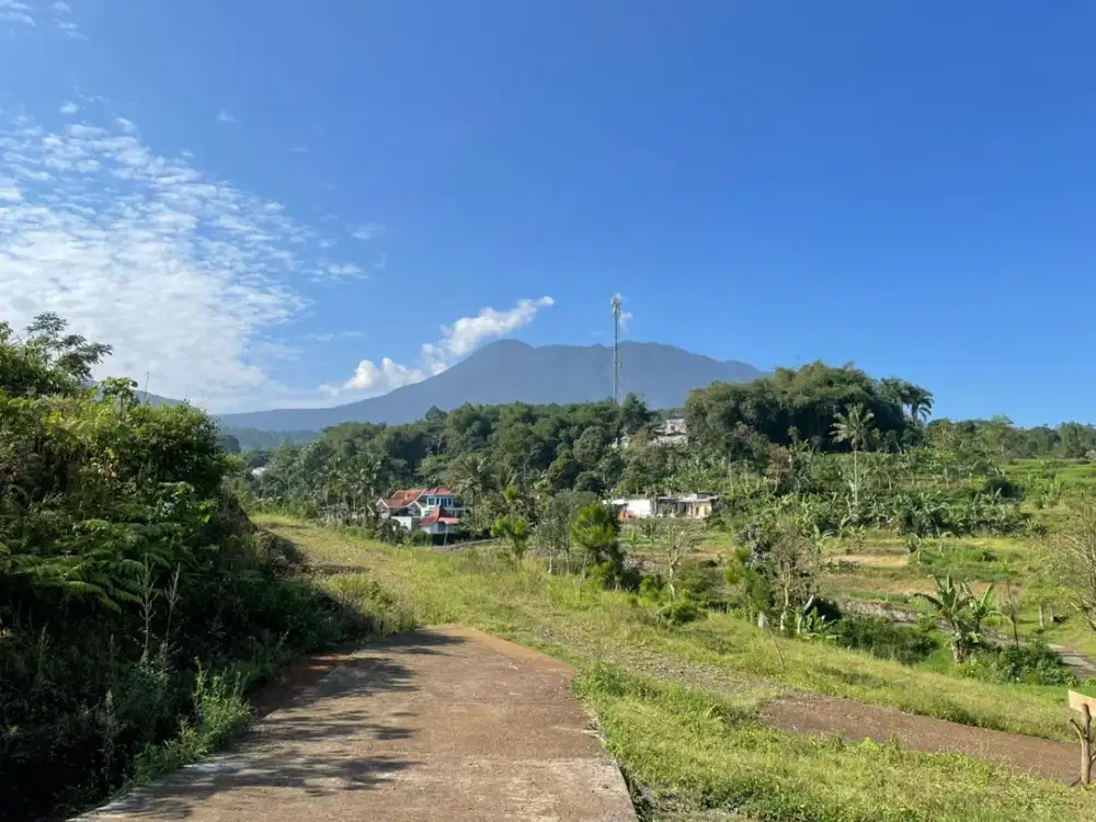 Tanah murah shm di cisarua puncak bogor view mewah