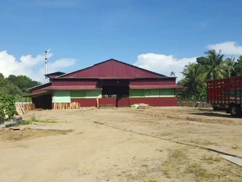 Dijual Pabrik 19688m2 di Ketapang Kalimantan Barat By Rumah Chinida