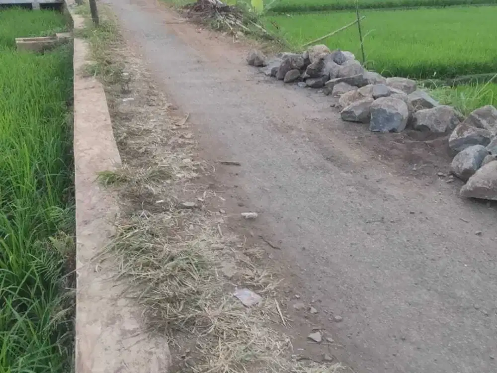 Dijual Tanah Pertanian Dekat 2 Pintu Toll di Cianjur By Rumah Chinida