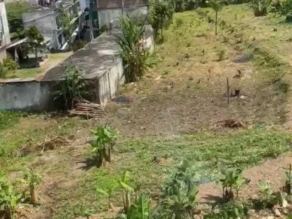 Dijual Tanah Hadap Timur di Jember Jawa Timur By Rumah Chinida