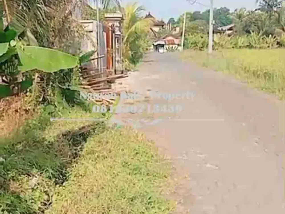 Tanah Disewakan Luas Tanah 2,74 Are View Sawah di Kengetan Ubud