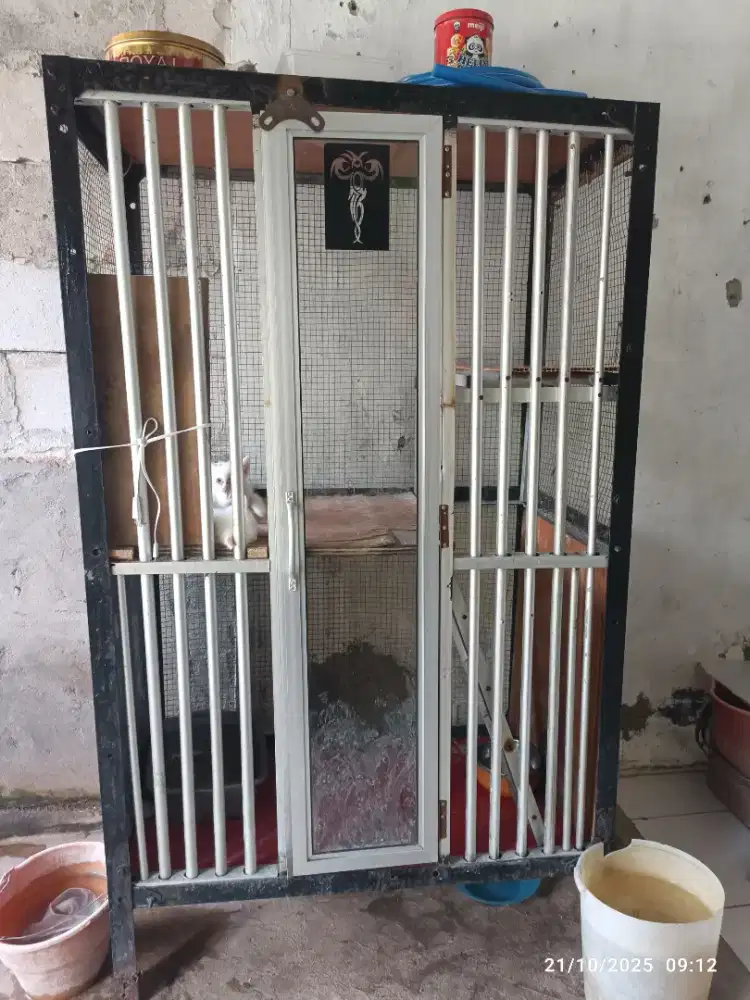 Kandang kucing besar dan kokoh