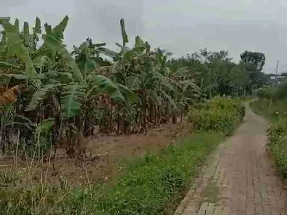 DIJUAL TANAH ZONA KUNING 2,7HA, MIJEN, NGALIYAN, SEMARANG