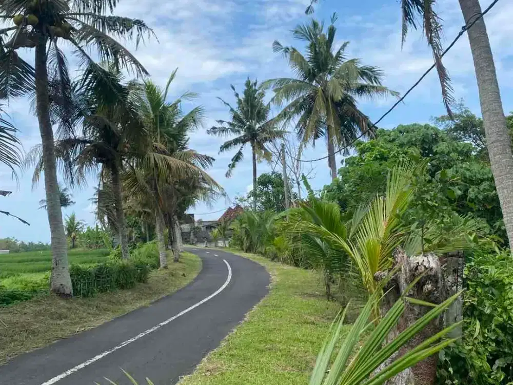 jual tanah antap tabanan view bagus