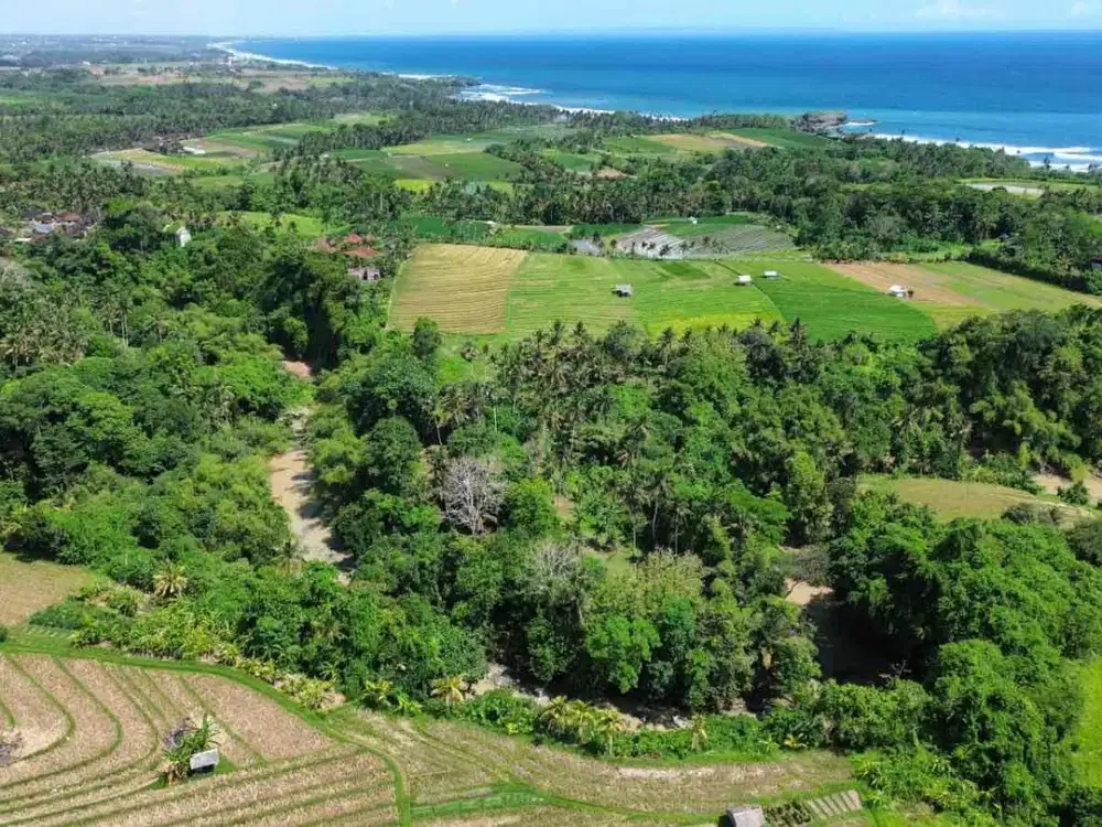 jual tanah dekat pantai antap tabanan