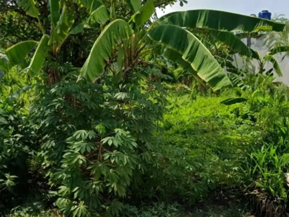 Tanah siap bangun di Medayu Utara Rungkut Wonorejo semampir