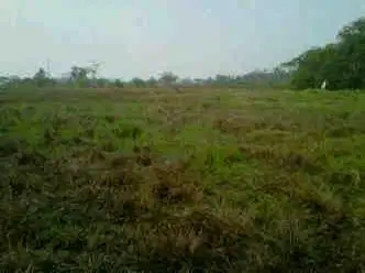 Jual cepat tanah kosong