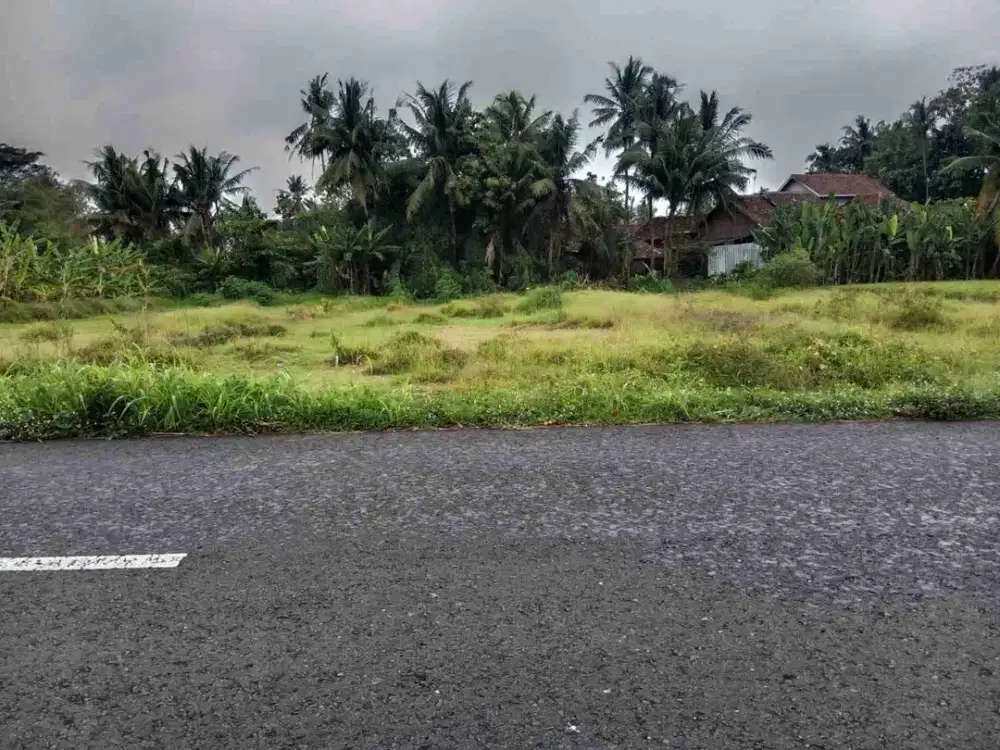 Dijual Tanah Sawah Tepi Jalan Utama Di Sleman Barat