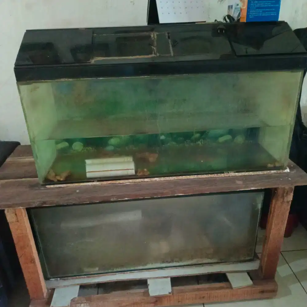 Di jual akuarium