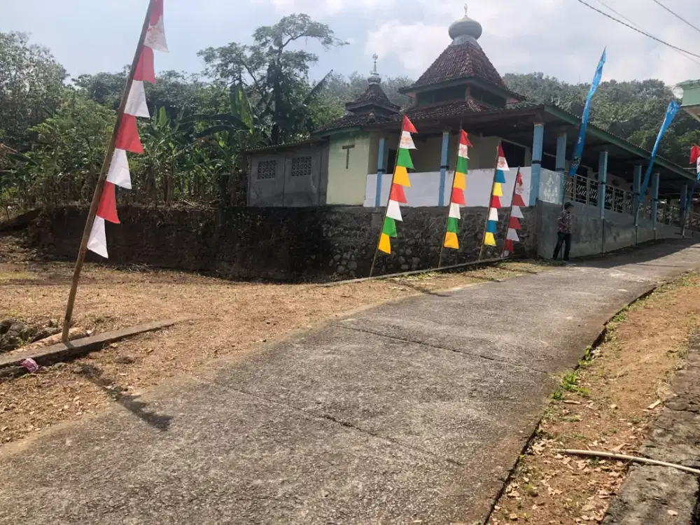 JUAL CEPAT! Tanah Murah Dekat Polsek Imogiri, Lokasi Asri