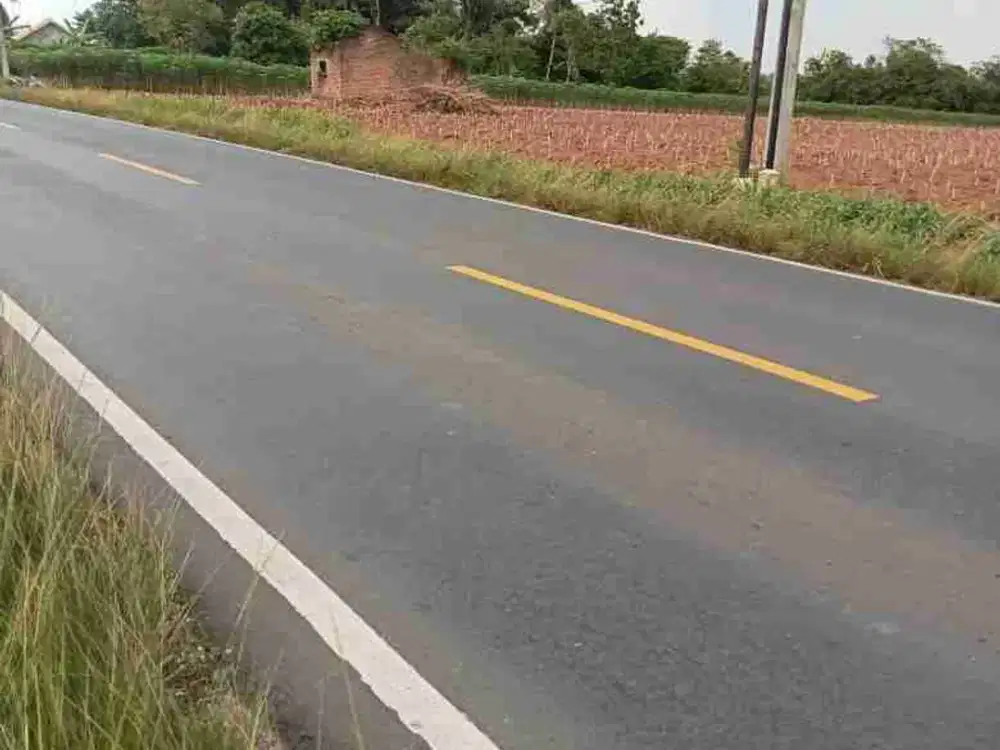 Tanah di Pekalongan Cocok untuk kaplingan