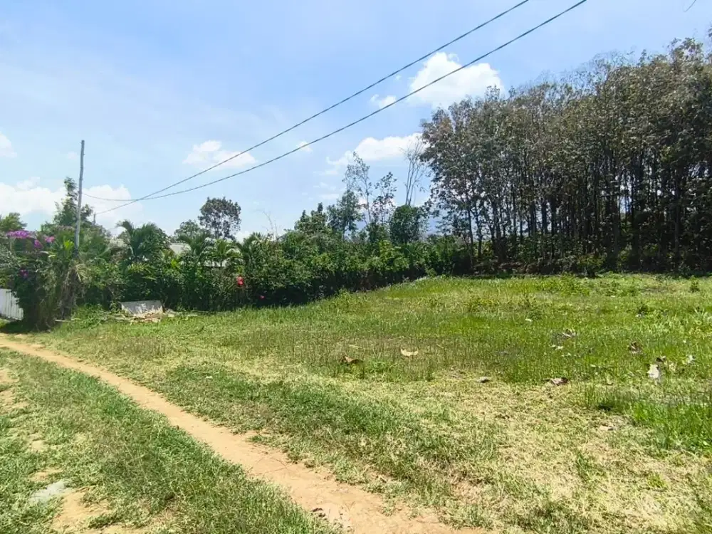 Tanah Kavling Malang Dau, Lokasi Strategis Dekat UIN 3 Cocok Untuk Kost