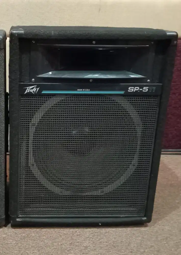 Speaker Peavey 15 SP5