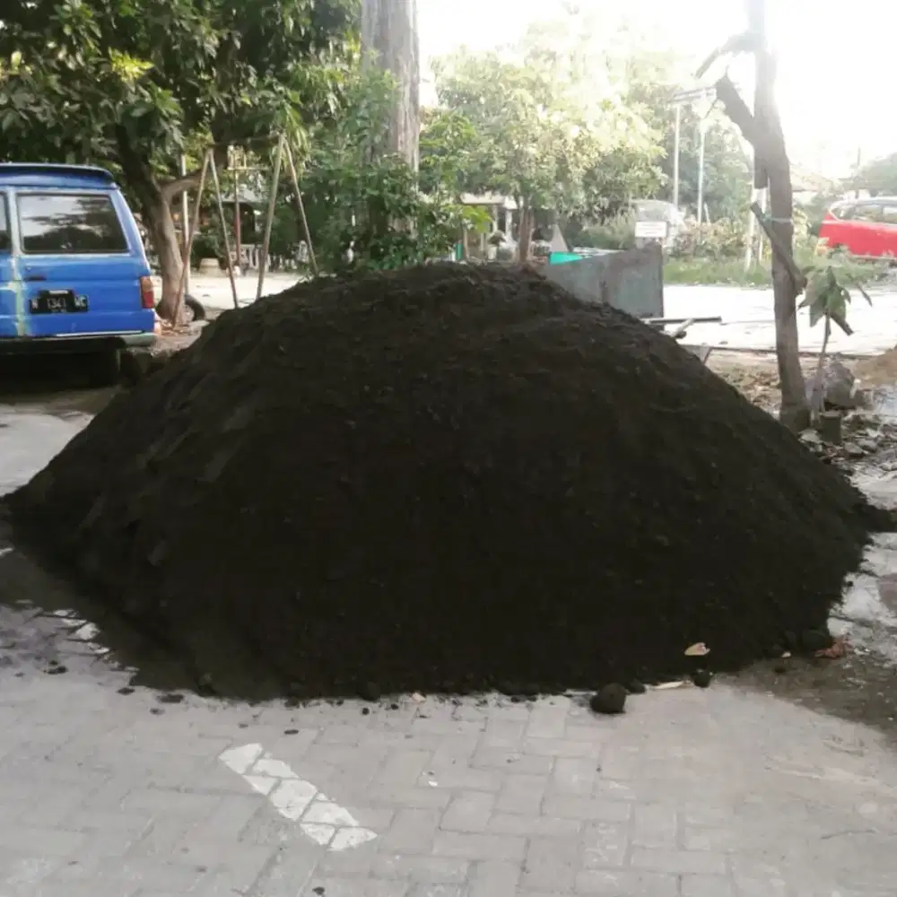 Pasir lumajang dan pasir cam pasir pasang pasir biasa