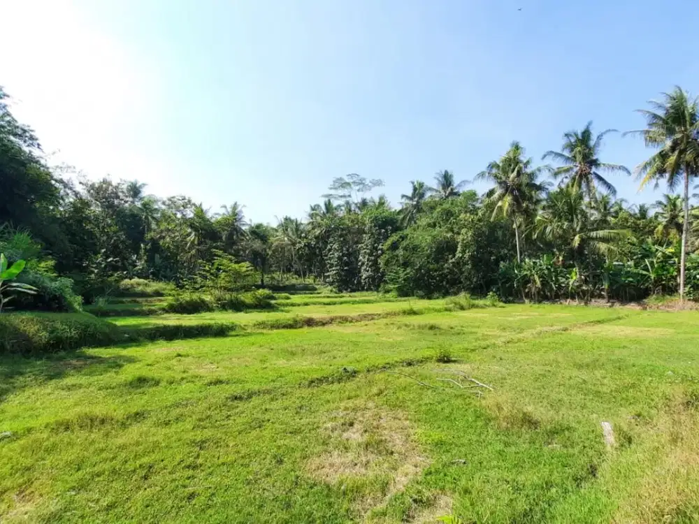 TANAH MURAH! 5 Menit Exit Tol Sentolo, Bangun Hunian