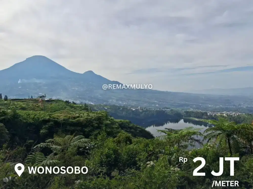 Dijual Tanah View Pegunungan dan Telaga Area Wonosobo
