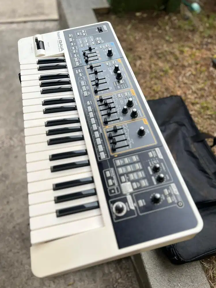 Roland GAIA SH-01 Synthesizer