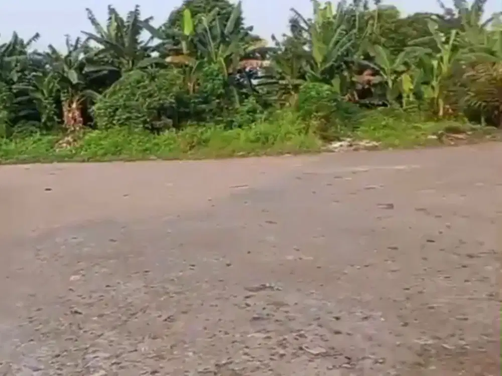 Disewakan Kavling Dibekasi,  potensi pertumbuhan yang menjanjikan