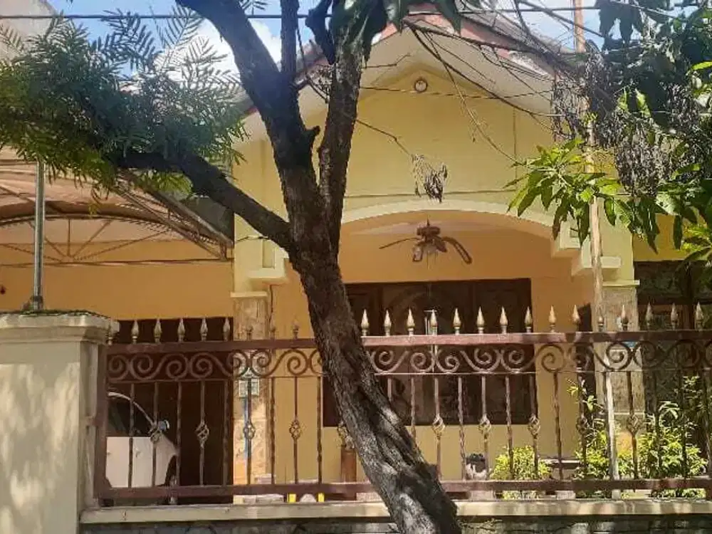 Dijual Rumah Gayungsari komersial nol jalan