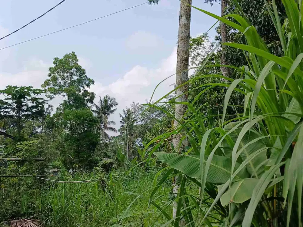 BU Tanah SHM MURAH di Pakem Sleman u/villa pribadi