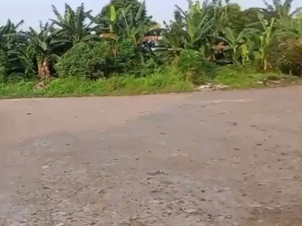 Disewakan Tanah Dengan Lokasi Strategis Di Bekasi dan Lingkungan Sangat Menguntungkan Untuk Usaha