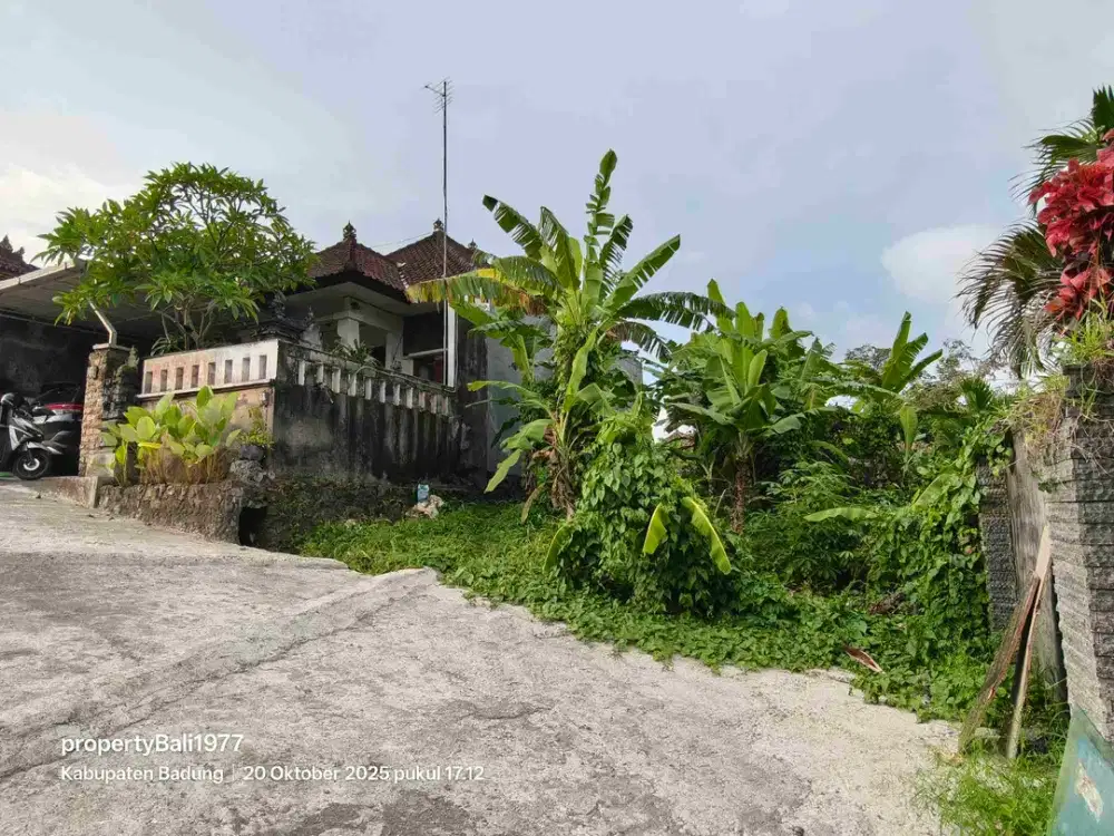 Tanah 1are view sawah di sading Timur puspem badung