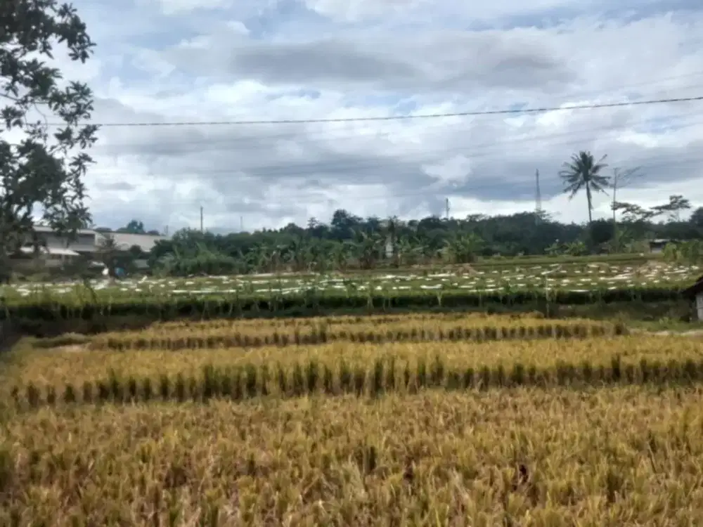 Dijual Lahan Zona Industri Strategis Bergas,Semarang Luas 4 Ha