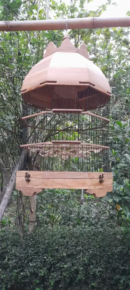 Sangkar kayu jati estetik