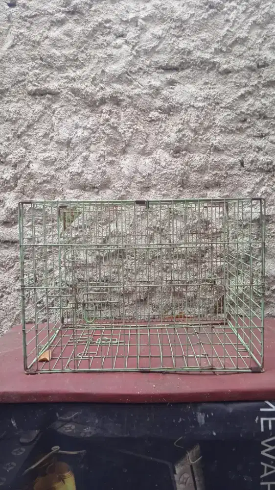 Kandang burung, ayam kucing dll