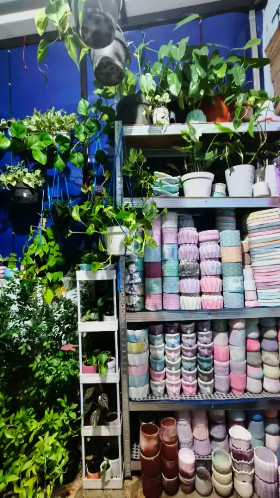 Pot gypsum serba guna