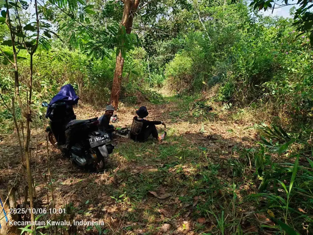 Dijual MURAH KEBUN 277Bata/3787m2 dikota tasikmalaya (JUAL CEPAT)