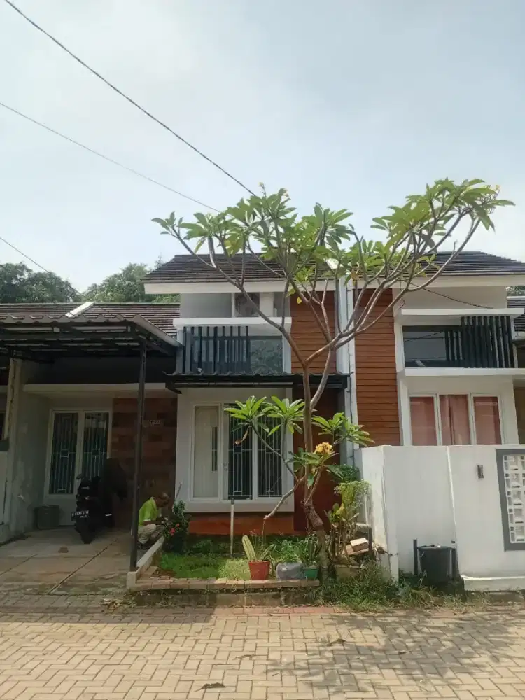 Disewakan Rumah Minimalis