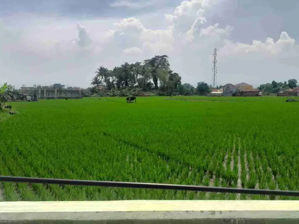 jual tanah soreang luas cocok bangun universitas atau cluster