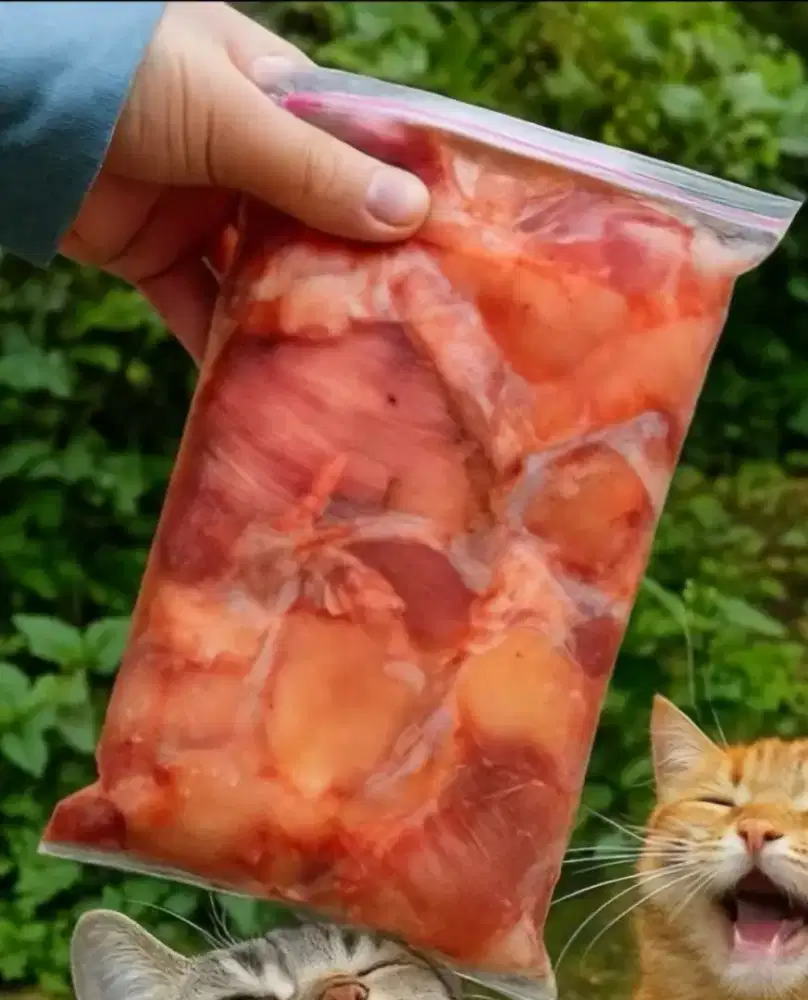 Fillet Ayam Mentah untuk Kucing – Tinggi Protein